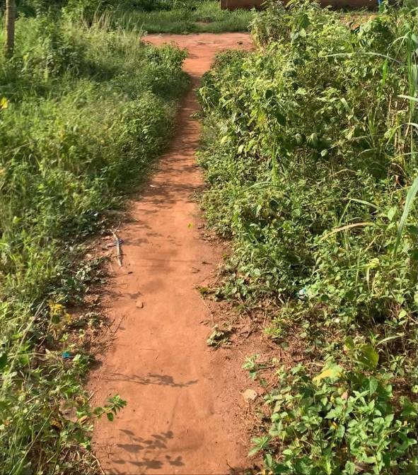 Half Plot For Sale